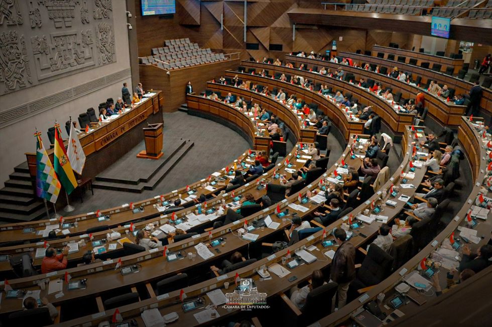 Diputados aprueban crédito de $us 100 millones para generación de empleo