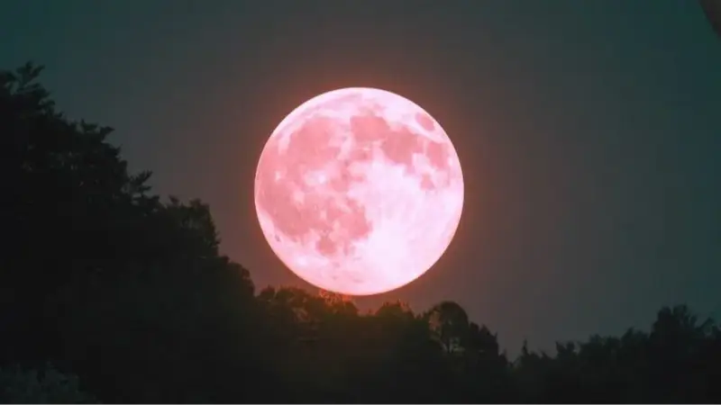 La Luna Rosa iluminará el cielo boliviano esta noche