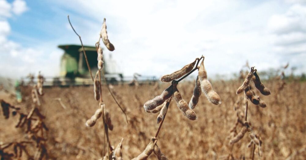 Clima seco en Semana Santa impulsa la cosecha de granos