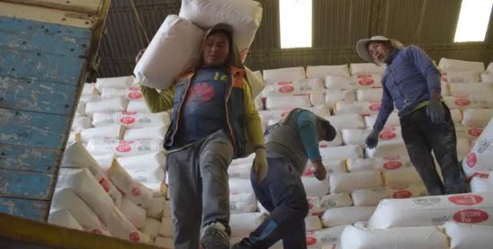 Inicia devolución de harina e insumos a panificadores en Bolivia