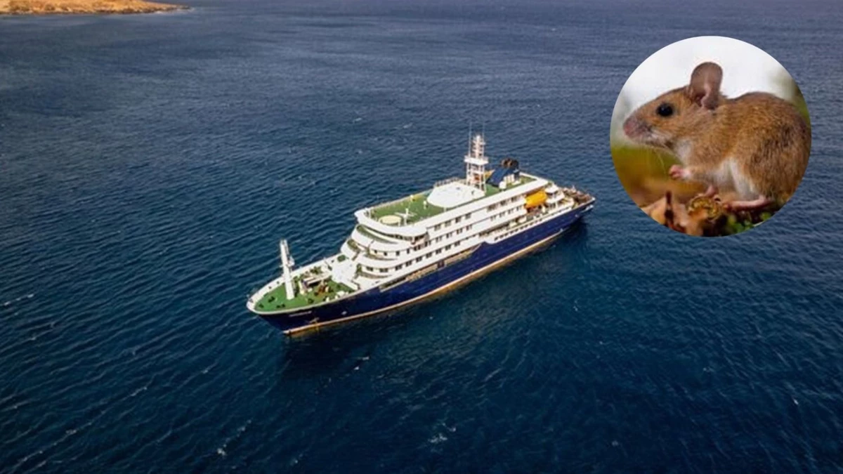 Cabo Verde impide ingreso de crucero por sospecha de brote de hantavirus