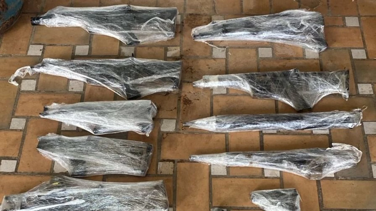 Santa Cruz: Caen presuntos operadores de Marset con armas y droga en una propiedad de Jorochito