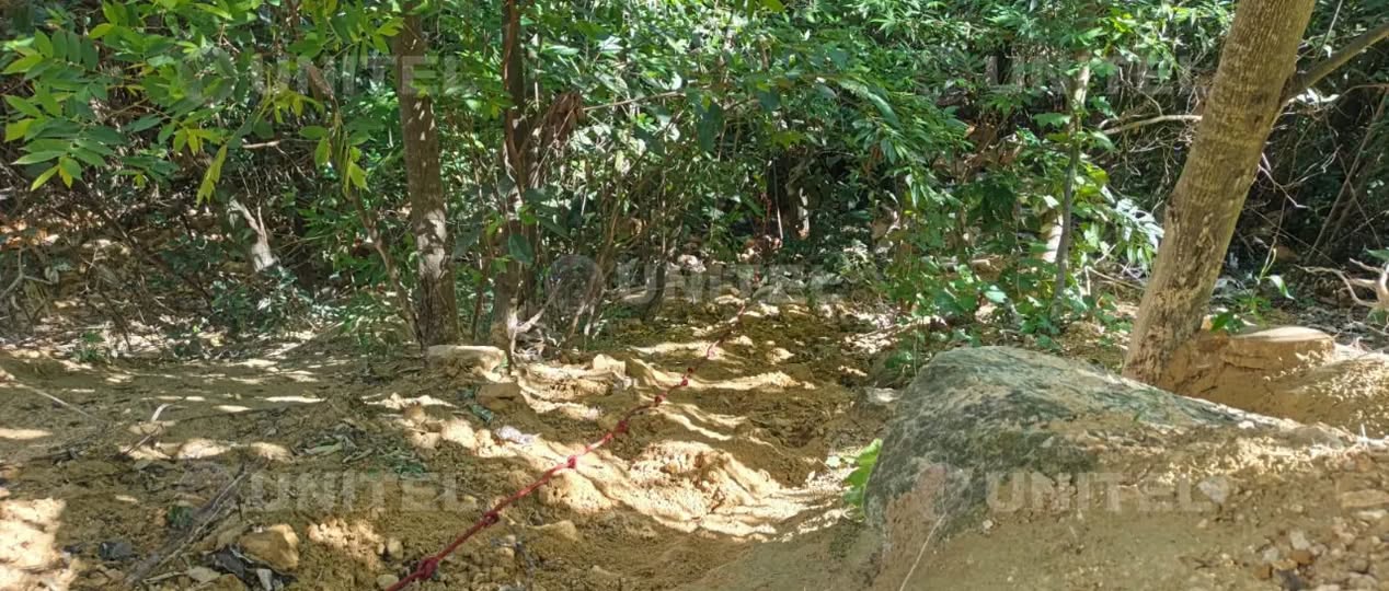 Santa Cruz: Hallan la cabeza de mujer asesinada y carbonizada en El Torno