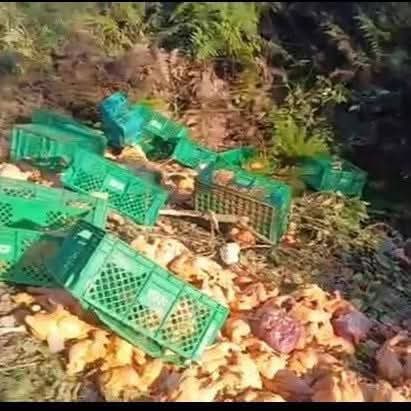 Camión con carga de pollo vuelca en ruta alterna hacia La Paz
