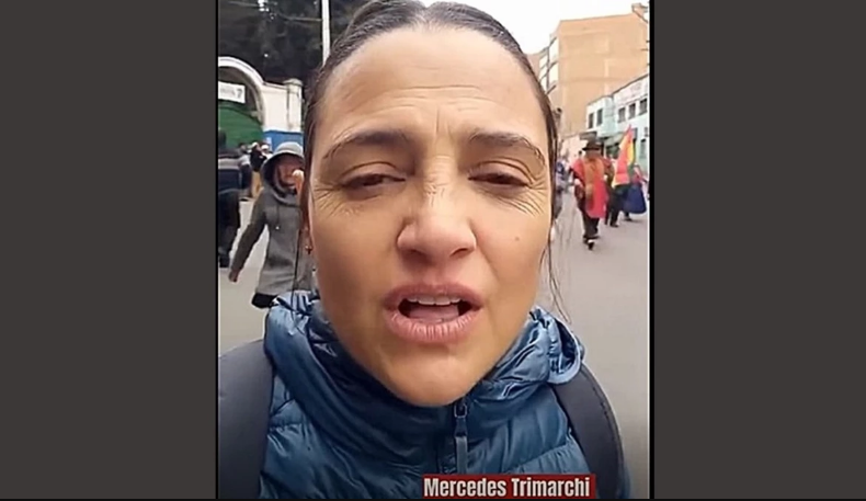 Migración anuncia acciones por presunta intromisión de diputada argentina en Bolivia