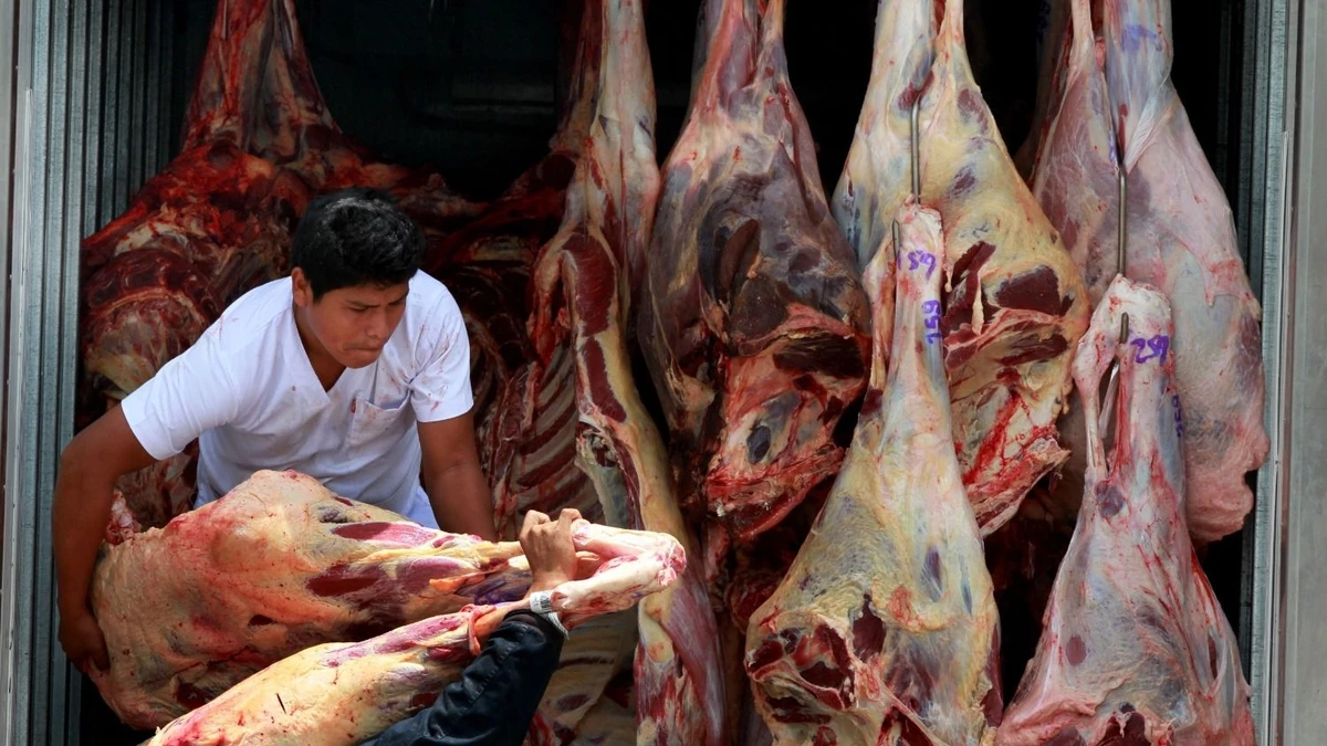 Bloqueos dejan más de 500 toneladas de carne varadas y afectan exportaciones