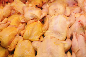 Bloqueos asfixian el suministro de pollo en el occidente y disparan precios