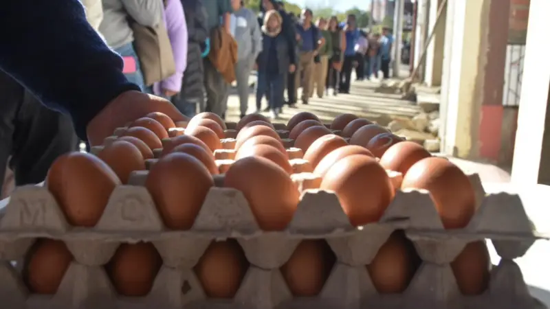 Avicultores habilitan venta directa de huevo para enfrentar pérdidas por bloqueos