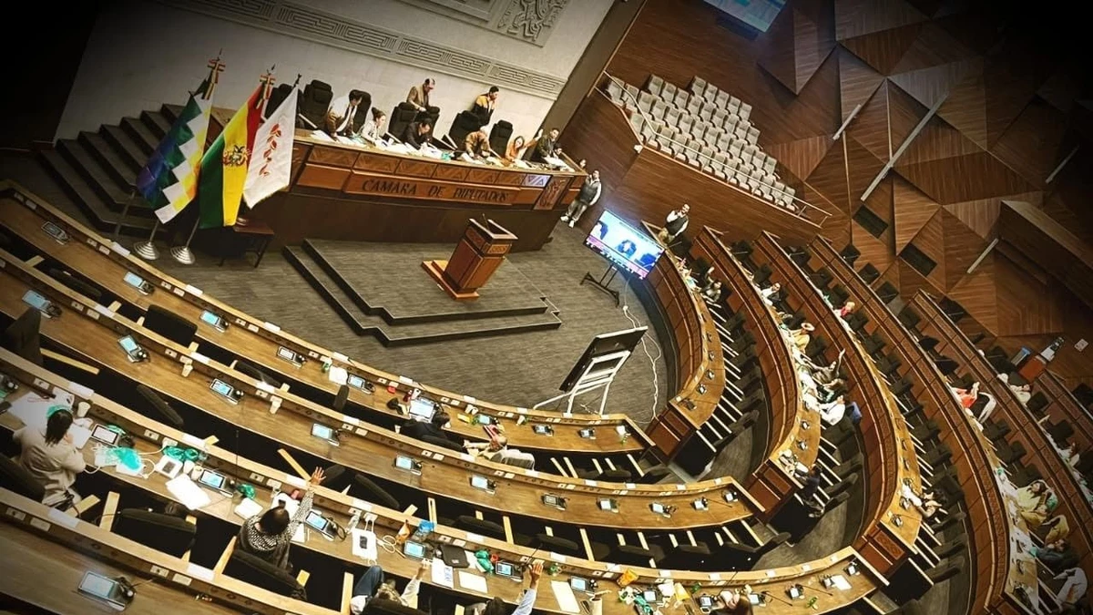 Cámara de Diputados sanciona ley que regula los Estados de Excepción