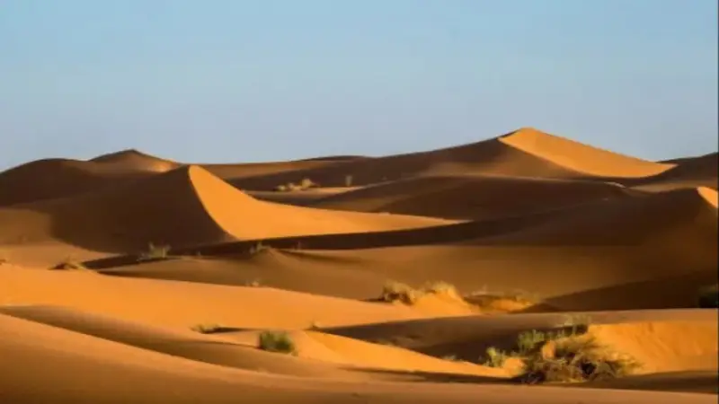 Dos arquitectos convierten la arena del desierto en ladrillos para la construcción