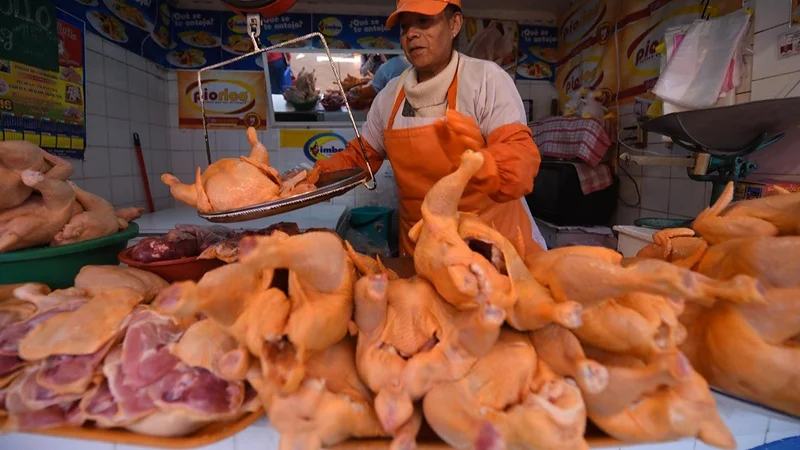 Mercados de La Paz registran baja en el precio del pollo tras mejora del abastecimiento