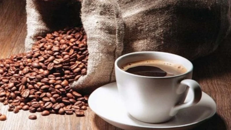 Exportaciones de café boliviano alcanzan un récord histórico y superan los $us 17 millones