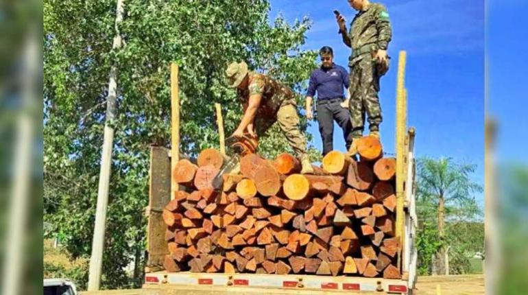Analizan muestras de madera vinculadas a un decomiso de cocaína en Brasil