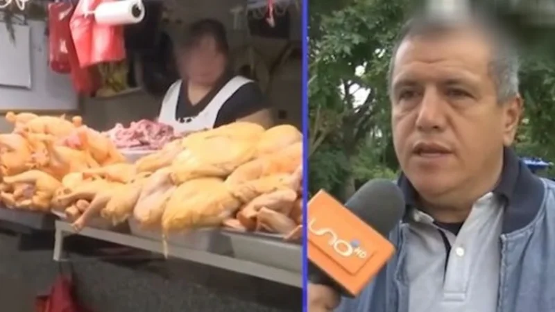 Avicultores advierten posible alza del precio del pollo