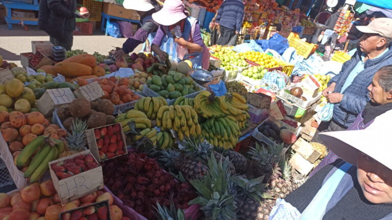 Huertos urbanos se consolidan como alternativa para fortalecer la seguridad alimentaria