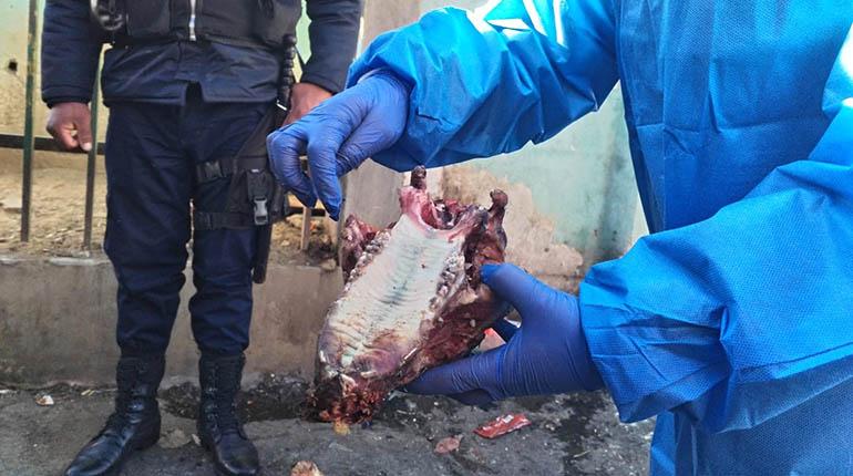 Hallan restos de canes en El Alto y conforman comisión para investigar presunta comercialización de carne