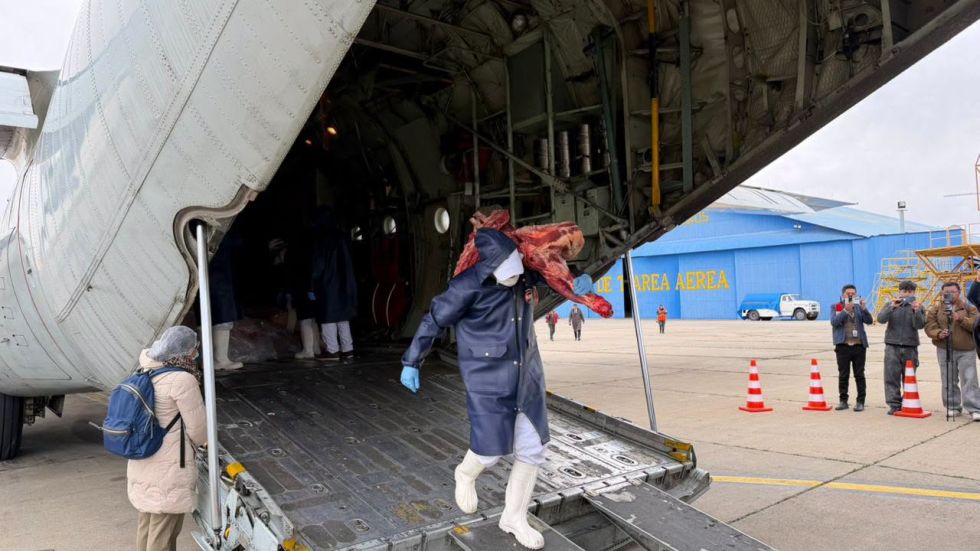 Llegará un avión Hércules con carne de res para abastecer Sucre