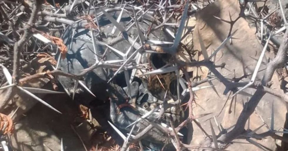 Hallazgo de cráneo humano moviliza investigación policial en Cochabamba