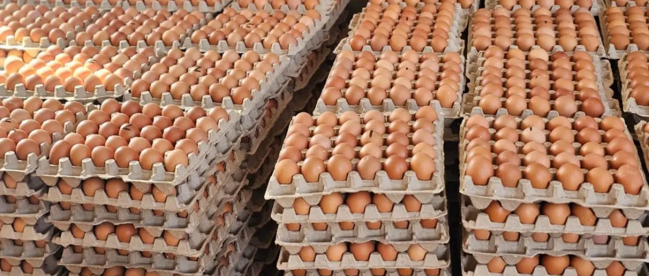 El precio del huevo comienza a bajar en los mercados de La Paz