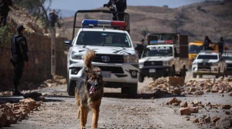 Policía de Cochabamba adopta a Rex, el can que acompañó operativos de desbloqueo
