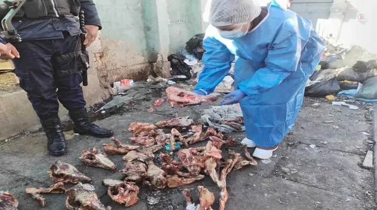 Confirman que restos hallados en contenedores de El Alto pertenecen a perros