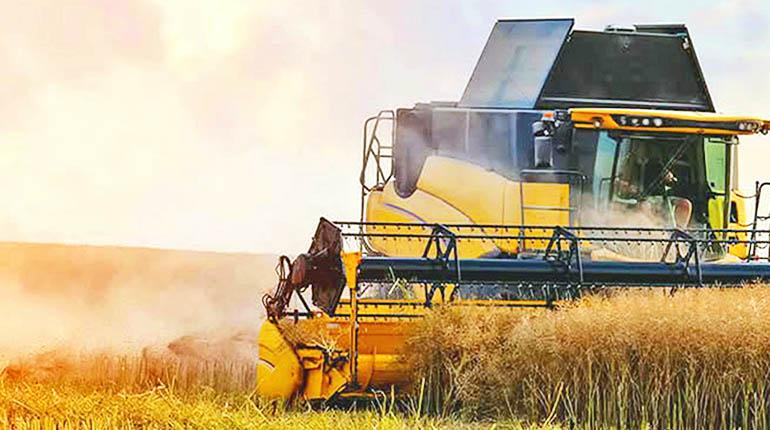 Escasez de diésel retrasa la zafra azucarera y pone en alerta al sector productivo