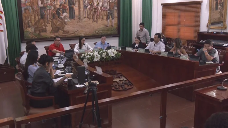 Concejo Municipal impulsa una comisión para reactivar la Carta Orgánica