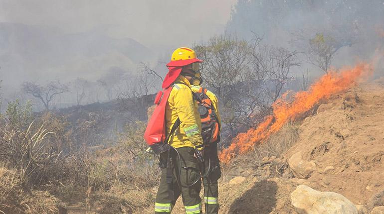 Contienen el incendio en el valle de Tarija y apuntan a posibles chaqueos como origen
