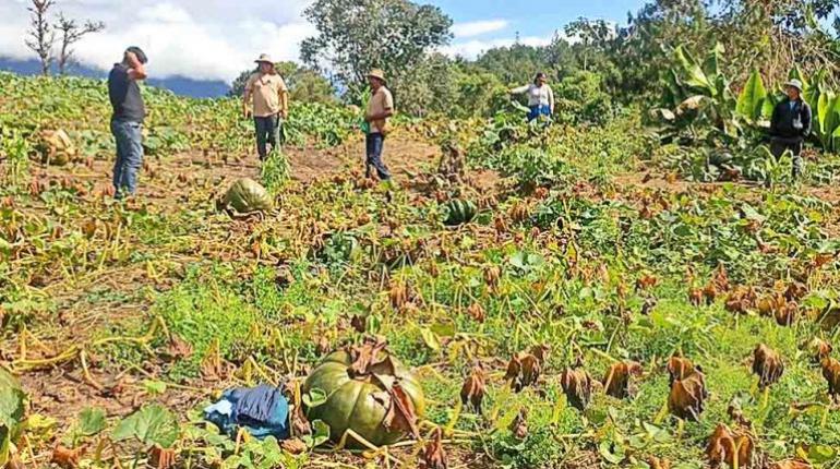 Gobierno prepara decreto para prevenir los efectos del fenómeno de El Niño