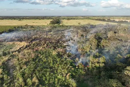 Incendios forestales mantienen en alerta a Tarija y Santa Cruz por fuertes vientos