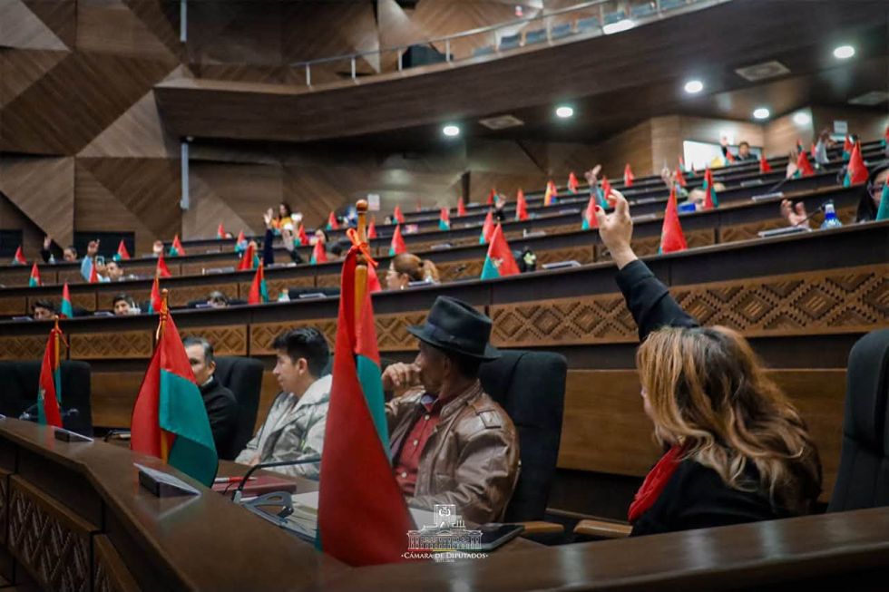 Diputados aprueba préstamo de $us 500 millones del BID y lo envía al Senado