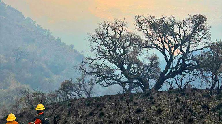 Cochabamba activa alerta amarilla ante incremento de incendios forestales