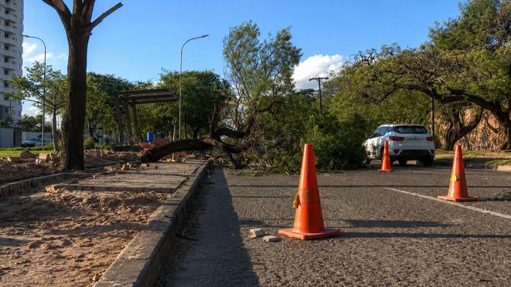 Fuertes vientos causan estragos en Santa Cruz: reportan incendios y árboles caídos