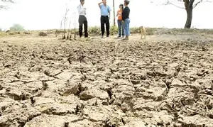18 municipios de Chuquisaca se declaran en emergencia por la sequía
