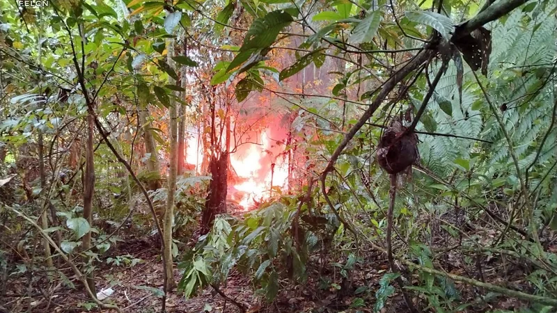 Felcn destruye cuatro fábricas móviles de cocaína en Villa Tunari