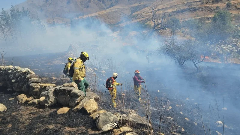 Tarija declara emergencia departamental por incendios forestales