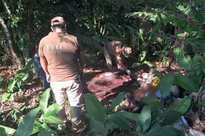 Seis asesinatos en menos de 24 horas conmocionan a Santa Cruz y Cochabamba