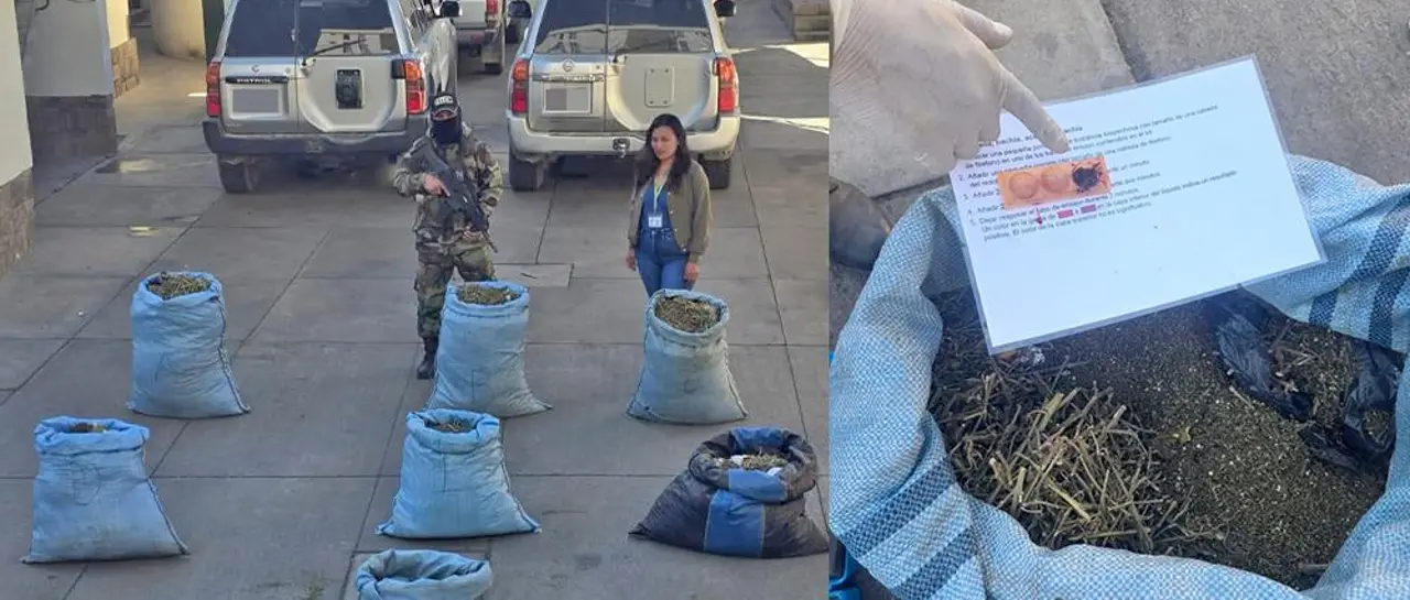 Hallan siete bolsas con marihuana abandonadas durante operativo en Cochabamba