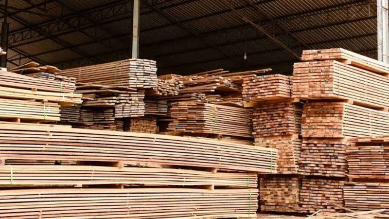Cámara Forestal alerta caída del 66% en exportaciones de madera por bloqueos y controles