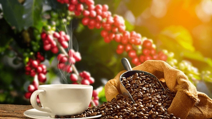 ¿Cuánto café es saludable consumir al día?