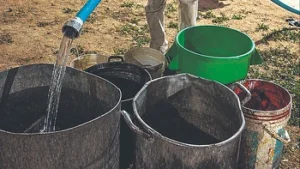 Sequía obliga a distribuir agua en cisternas y activa alertas en varias regiones de Bolivia