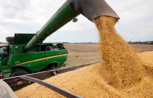 Anapo cuestiona ajuste del diésel y advierte impacto en la producción de alimentos