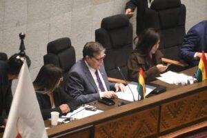 Legislativo interpela a ministro de Hidrocarburos por falta de combustibles