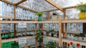 Estudiantes construyen un invernadero con más de 2.000 botellas recicladas