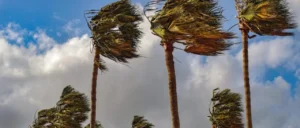 Alerta naranja por fuertes vientos y posibles nevadas en cinco departamentos