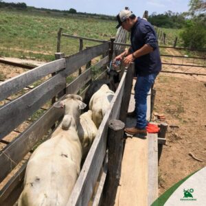 INE y Fegasacruz coordinan acciones rumbo al Censo Agropecuario 2026