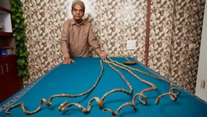 Hombre dejó crecer las uñas durante 66 años y consiguió un récord Guinness
