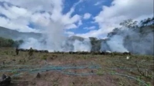 Felcn destruye más de 90 toneladas de marihuana en El Torno