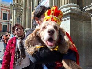 Festican 2026 prepara actividades y feria de adopción en Fexpocruz