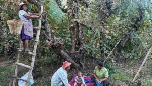 Patricia Mendoza lleva la vitivinicultura boliviana al máximo galardón internacional